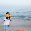 국제미디어(주) | 부산나들이 : 26년 해운대 모래축제 미디어 레이저아트쇼 전시는 6월 14일까지
