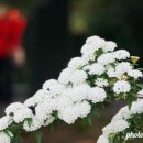 고향산천 이미지