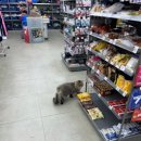 이마트24 태안몽산포중앙점 이미지