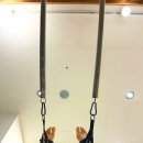뉴핏휘트니스 - 화성시 | { 울산 삼산동 } 기구 필라테스 잘하는 “ 뉴핏휘트니스 뉴코아아울렛 울산점 ” 🧘🏻‍♀️ 3개월 솔직후기