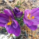 준현농장 | 젊은 이웃 꿀곰이네님 .준현이네님