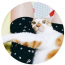 칸타빌레피아노 | 박보검의 칸타빌레 방청 후기