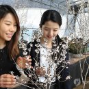 송덕농장 이미지