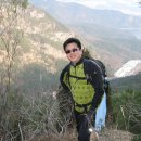 늑대와 여우 이미지