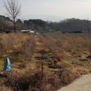 웃말농장 이미지