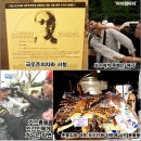 서북청년단 재건위는 사이버뉴스24 편집장 배성관이 두목이군요 이미지