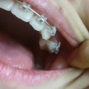 정심는치과의원 이미지