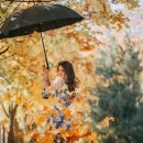 내장산국립공원화장실(제1주차장) 이미지