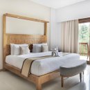 더 로카 이미지