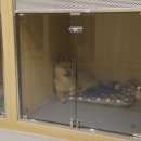 옐레드 문래역점 이미지