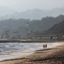 캘리포니아 - 서귀포시 김정문화로27번길 14-4 | 캘리포니아