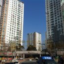 대원아파트 앞 이미지