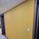 H7049 | 초배지가 필요없는 월플랜 만능풀바른벽지 💛 노란색 벽지로 상큼한 공간 만들기 :-D