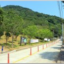 황령산유원지 생태숲 이미지