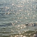 유경분식 | 그래서 나는 마음에도 없는 표정 짓기는 싫어