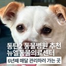 한주동물병원약품 | 동탄2 동물병원 추천 뉴엘동물의료센터 6년째 예방접종 및 관리