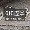 해솔작은도서관 | 제주도 이유식, 여행 중 꼭 필요한 마미포유 방문 솔직 후기