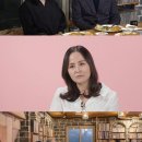 피메이트 스포츠경향