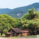 봉황의나라 택견수련관 | 충북 충주 가볼만한곳 베스트10 여행 명소 추천