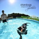 스타독스 이미지