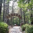 중앙미역 Daum카페