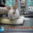 등촌3동주민센터 이미지