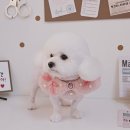 알콩달콩 애견미용실 이미지