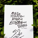 선지그리다 이미지