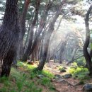 구정치과의원 이미지