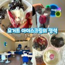 롯데㉵ | 춘천 요아정, 요거트 아이스크림의 정석 온의점 (신메뉴: 빠삭 두바이 초코쉘)