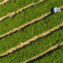 매내골 농장 이미지