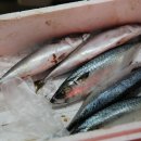 전통중앙도매 이미지