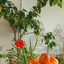 순박2농장 이미지