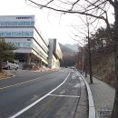 과천시청 이미지
