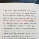 화이트환경