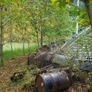 옻나무집 이미지