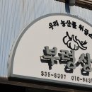 돌담양행