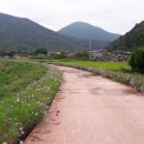 강변길 북천 이미지