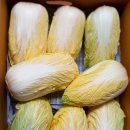 해풍농장 이미지