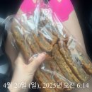 2025 수원 경기마라톤 하프코스 완주 후기