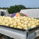 하늘그린 이미지