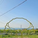 나무콘텐츠 | 남해 왕후박나무 솔직후기｜10분만 들러도 기억에 남았던 천연기념물