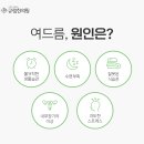 결고운피부