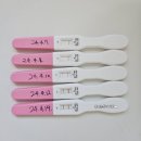 「쩜미, 집사에서 엄마되다」 임신 초기 증상 및 일상(임테기 확인 ~ 12주)