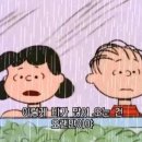 사계절물회