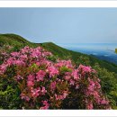 소백산 이미지