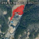 운학동농장 네이버블로그