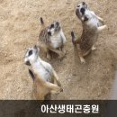 온양3동 문화로 | 아산 아이들과 가볼만한 곳1 - 아산 생태곤충관 go!