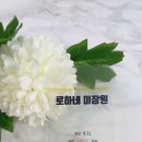 로하네미장원