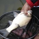 가자낚시 이미지